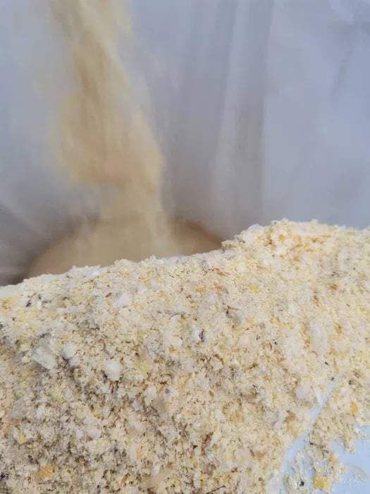 Mielone ziarno kukurydzy CCM