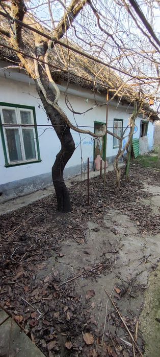 Будинок за адресою (площа 65 м²) - Atlanta.ua - фото 3