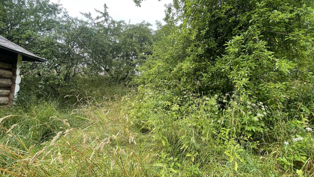 Продається деревяний будинок