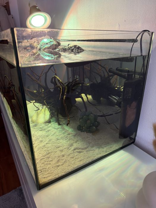 vendo aquario 80cmx40cm com acessorios