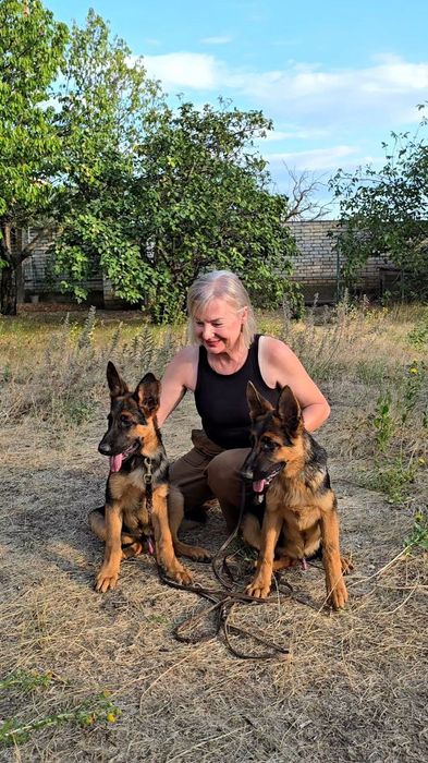 Супер щенки Немецкой овчарки. Одесса