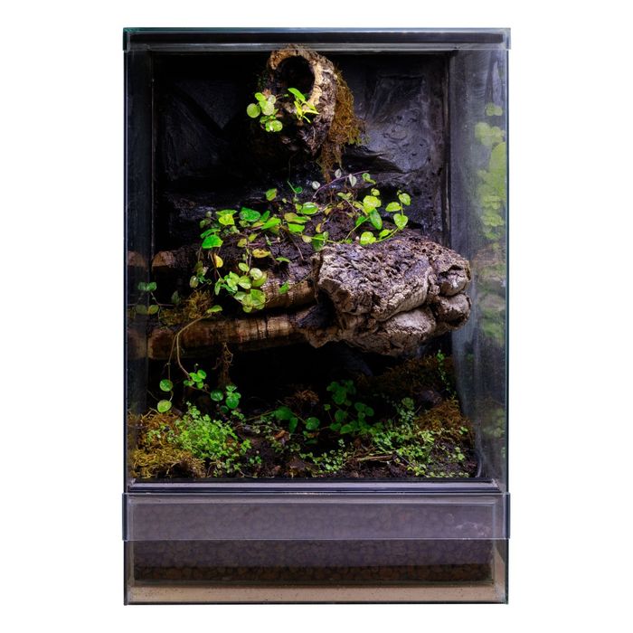 Terrarium tropikalne 40x40x60 gekon
