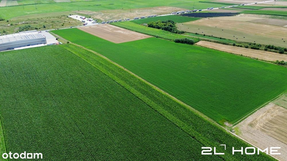 Działka Idealna Pod Inwestycję| Wz Na 6 Domów 2-Lokalowych | 6700M2 - Widok 4