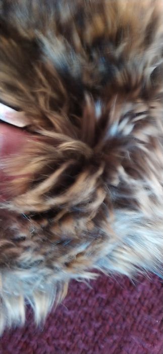 Casaco/bolero 5-6 anos