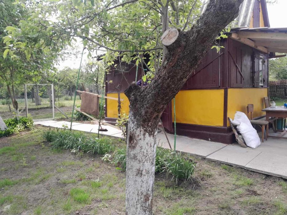 Дача " Промінь"  земельна ділянка