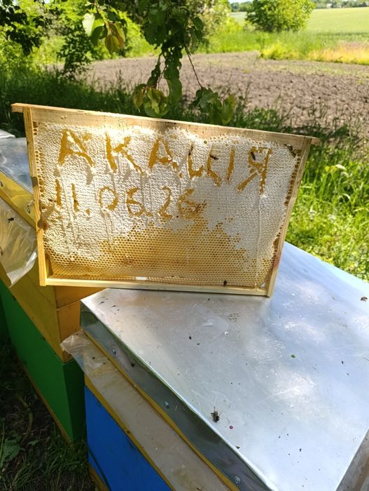 Продам Мед липа + горчица