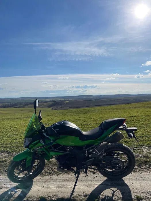 Kawasaki Z250 SL