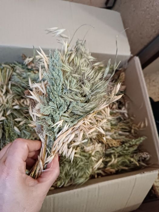 Смаколики для папуг