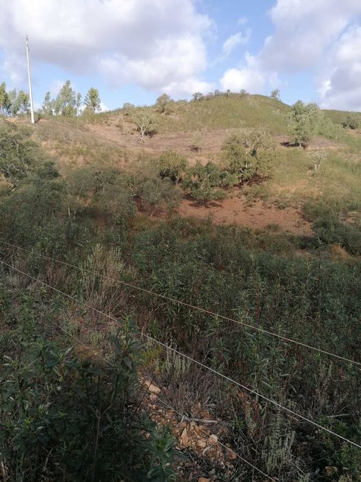 Terreno com ruína perto de São Teotónio zambujeira do mar