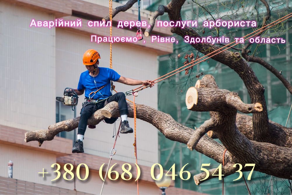 Професійний спил дерев , обрізка