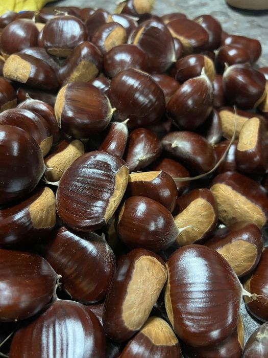 Castanhas 2026 - 3€/kg