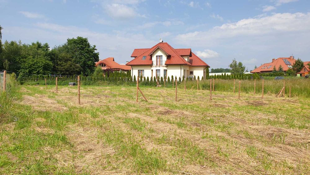Działka budowlana Kryczniczno - Widok 2
