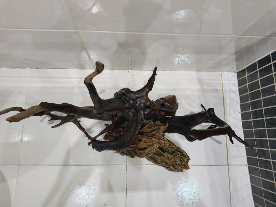 Korzeń i Kamienie.Gotowa aranżacja akwarium