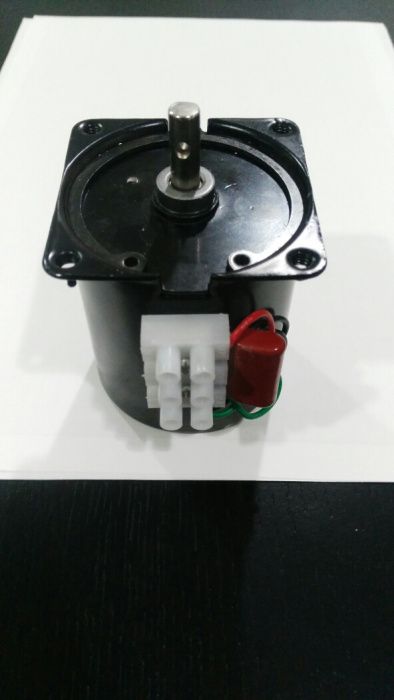 Motor Churrasqueira 50kg 5 RPM