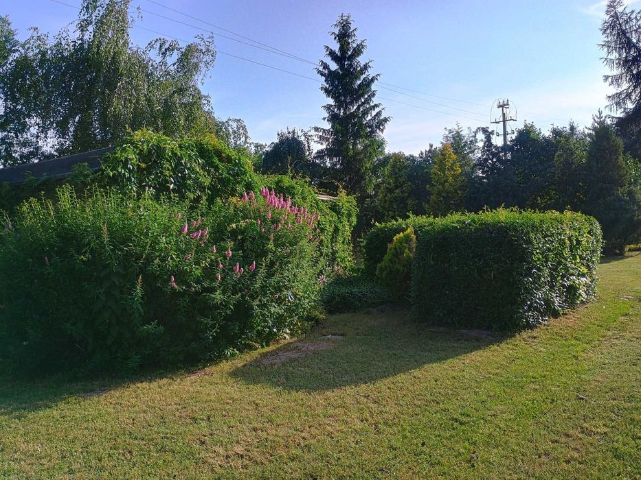 Działka rekreacyjna 400m Jezierzyce koło Kościana