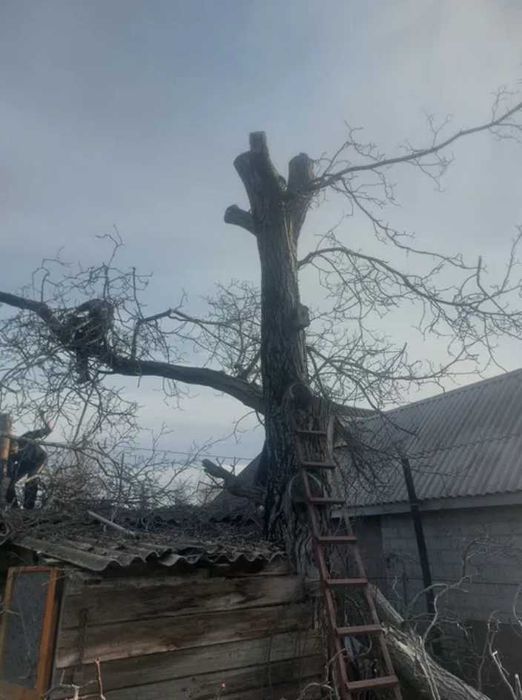 Расчистка Уборка участка Покос бурьяна / CПИЛ деревьев Выкорчевка