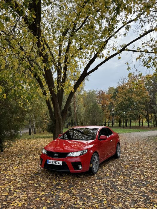 Продам kia cerato