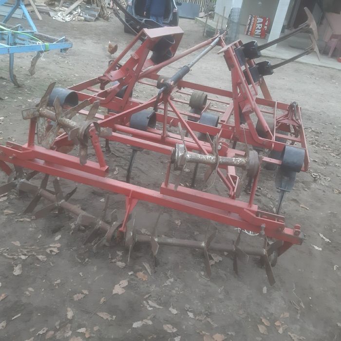 wyka jara facelia mieszanka gorzowska