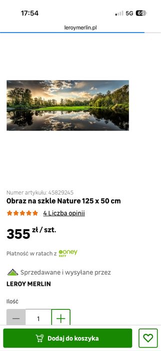 Obraz na szkle leroy merlin