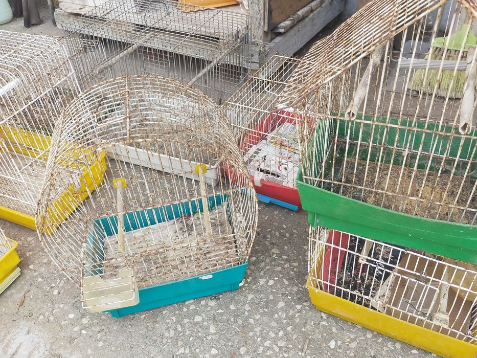 Gaiolas para passarinhos