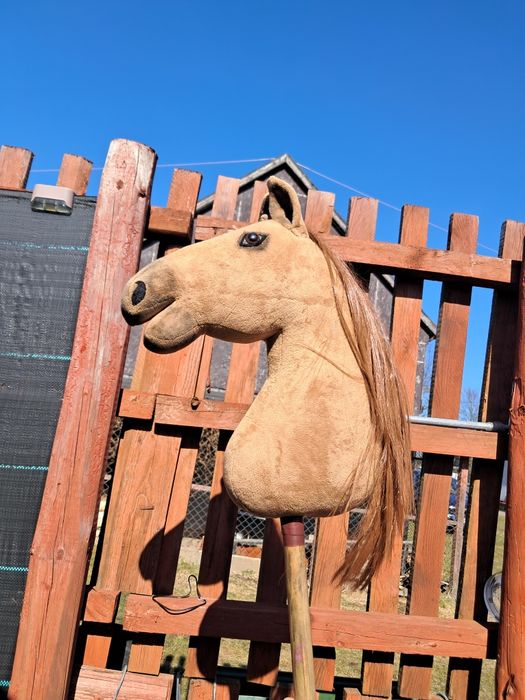 Sprzedam konika Hobby horse