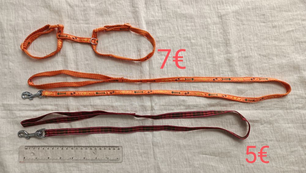 Brinquedos/trelas gato