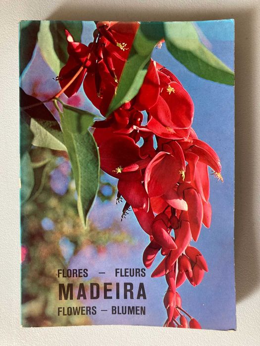 Plantas e Flores Madeira