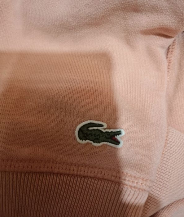 Bluza Peanuts Fistaszki Lacoste