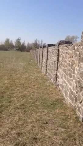 Рудня  земля 65 соток .