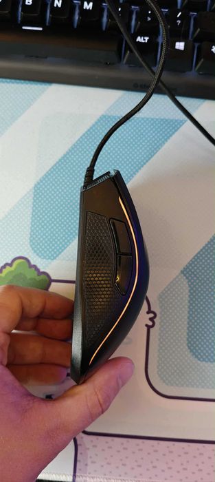 Razer mamba TE (Tournament edition)