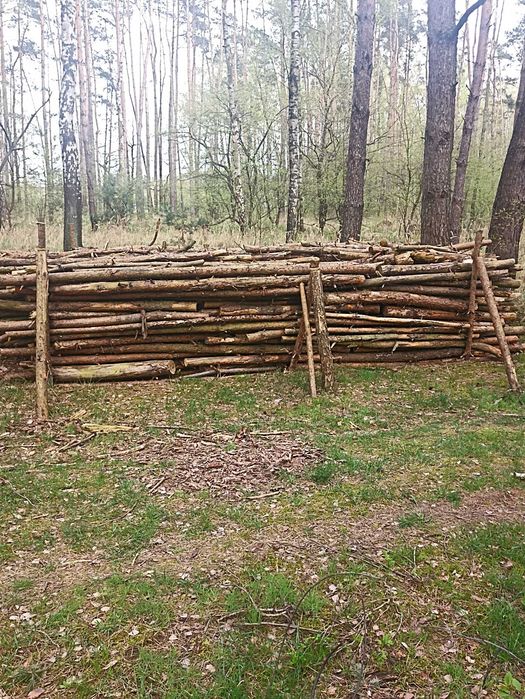 Drewno sezonowane sosnowe