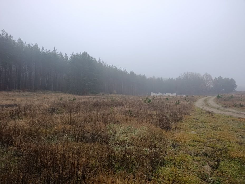 Działki budowlane z wz i mpzp - Ugoszcz (w pobliżu lasu)