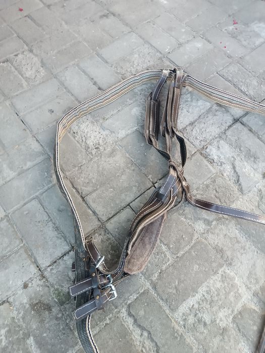Наритник для коня шлея