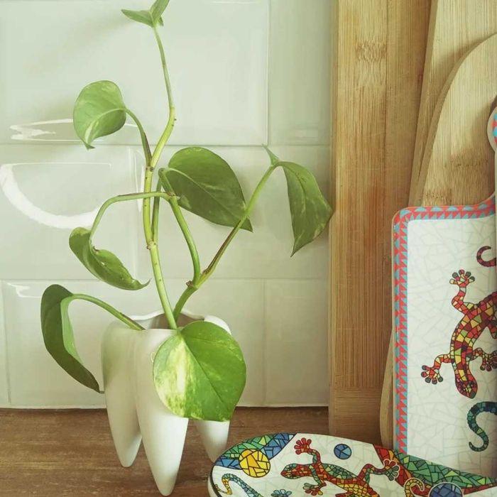 Ceramiczny ZĄBEK-prezent MIKOŁAJKI I ŚWIĘTA! zestaw 2+1 GRATIS