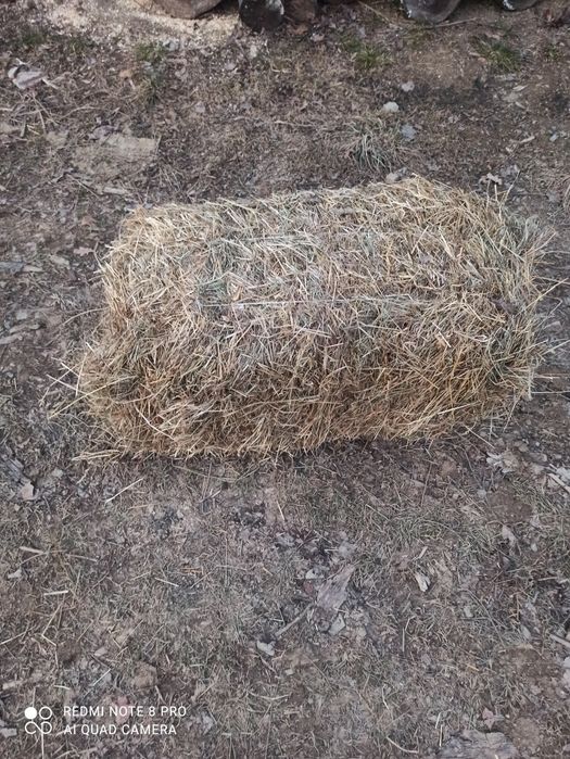 Kostki siana lipiec 2024 (duże ciężkie)