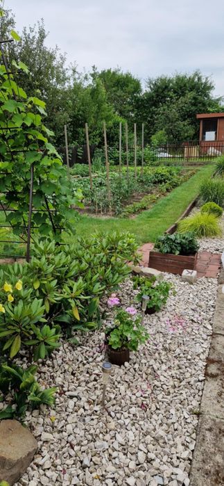 Działka rekreacyjna ROD