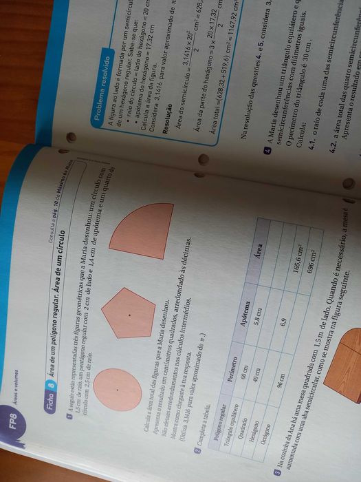 (NOVO, PORTES GRÁTIS) Máximo 6: Caderno de Fichas + Máximo do Aluno