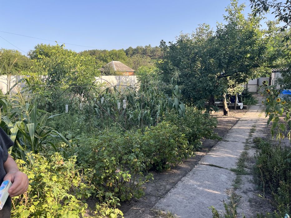 Будинок Новоселівка Куцюбиньського 167