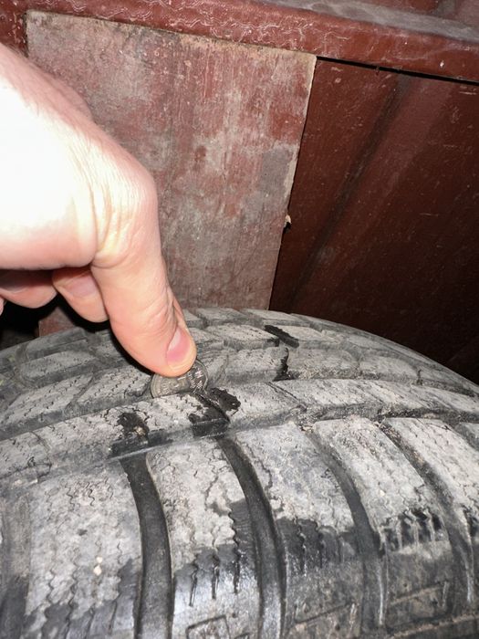 Зимова гума NEXEN 215/55R17