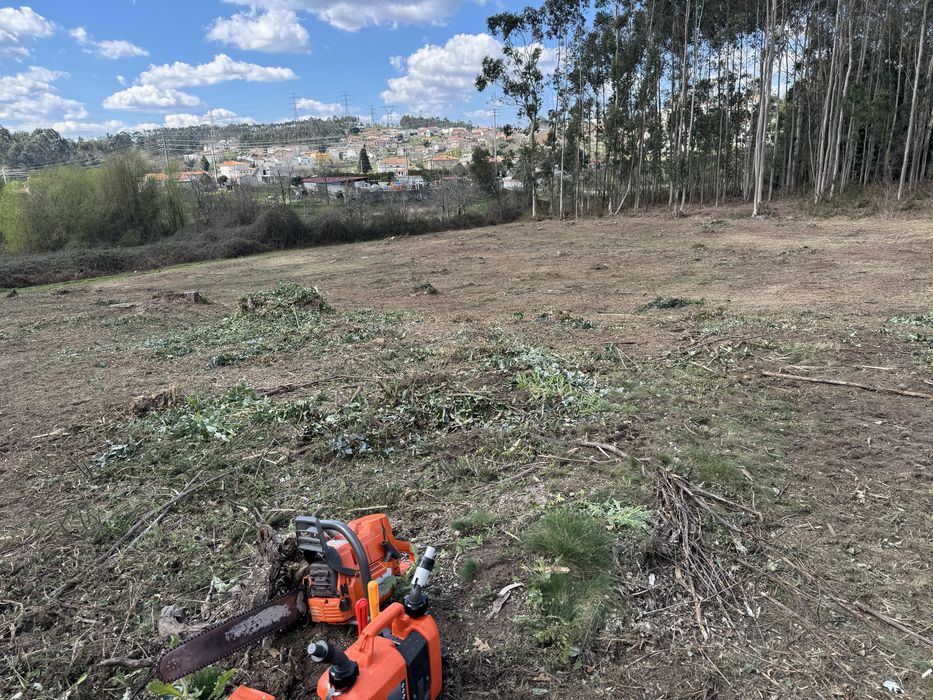 Serviços de Trator e Mini Giratória
