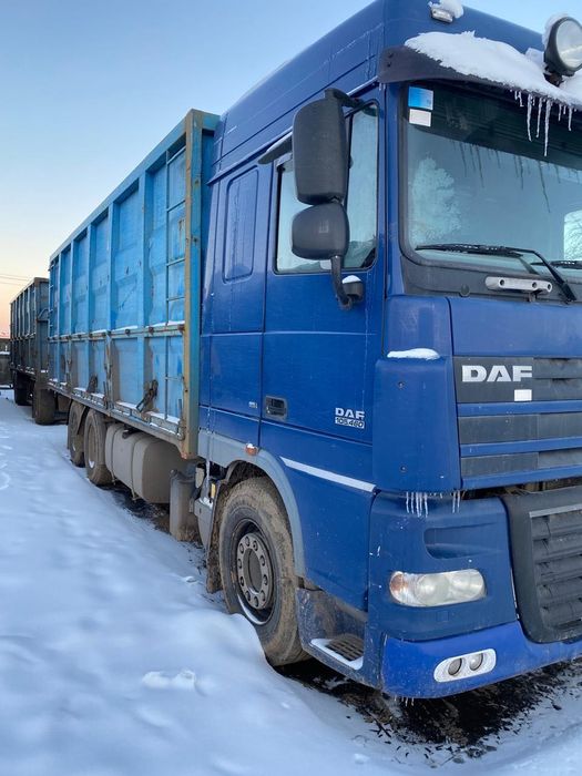 Авто DAF XF 105460 -2008   грузовой контейнеровоз - зерновоз