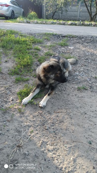 Безкоштовно. Дуже гарна молоденька дівчинка