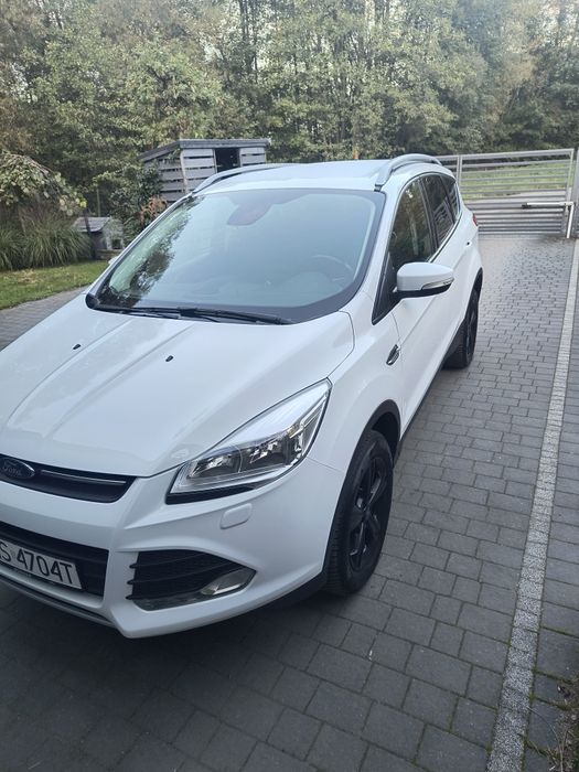Sprzeda Ford Kuga