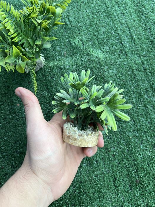 Decoracao aquario