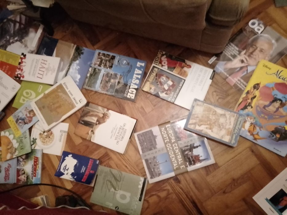 Grandes Saldos Saramago/outros raros/BD juvenil e muitos mais Desde 2E