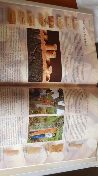 Vinhos  Wine from grape to glass