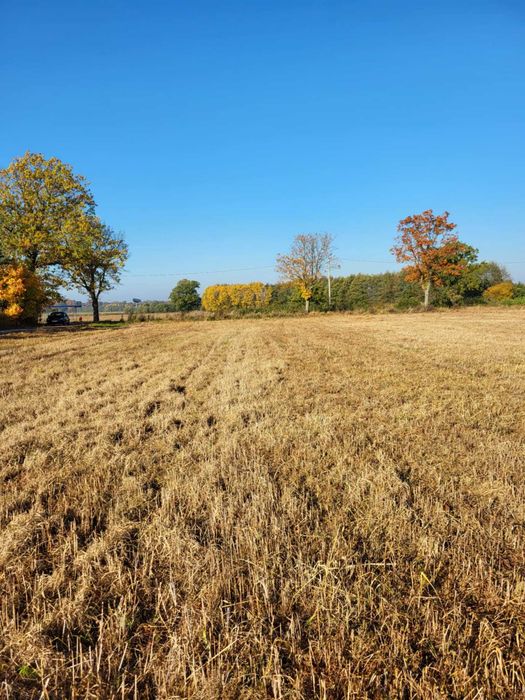 Działki rolne na sprzedaż - Widok 3