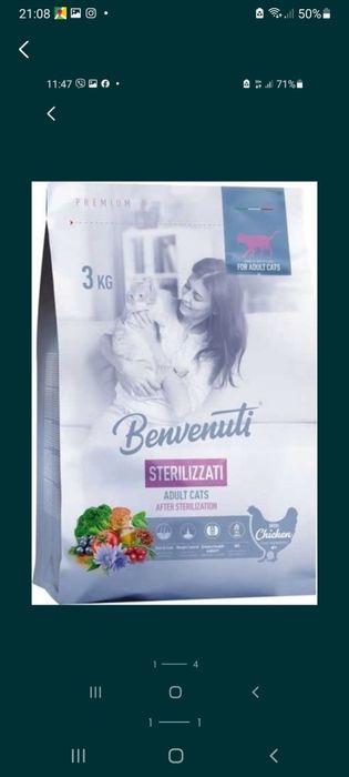 Сухий корм для котів Benvenuti Gatti лосось