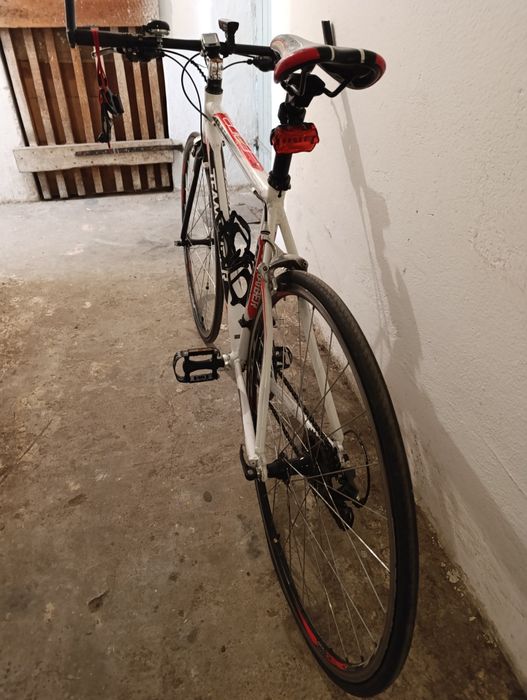 Rower Teamraider Race l