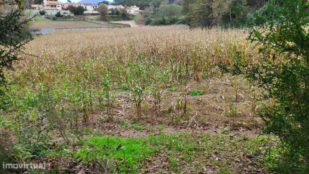 Terreno em Rendufe, Amares